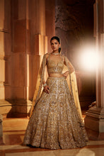 Load image into Gallery viewer, GOLD TULLE LEHENGA CHOLI SET
