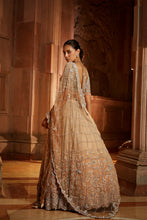 Load image into Gallery viewer, MUSHROOM OMBRE DYED ORGANZA LEHENGA CHOLI SET WITH TULLE DUPATTA
