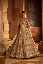 Load image into Gallery viewer, CHAMPAGNE GOLD TULLE LEHENGA CHOLI  DUPATTA SET WITH WORKED BELT
