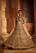 Load image into Gallery viewer, CHAMPAGNE GOLD TULLE LEHENGA CHOLI  DUPATTA SET WITH WORKED BELT
