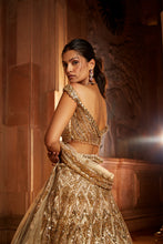 Load image into Gallery viewer, CHAMPAGNE GOLD TULLE LEHENGA CHOLI  DUPATTA SET WITH WORKED BELT
