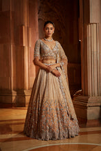 Load image into Gallery viewer, MUSHROOM OMBRE DYED ORGANZA LEHENGA CHOLI SET WITH TULLE DUPATTA
