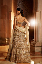 Load image into Gallery viewer, CHAMPAGNE GOLD TULLE LEHENGA CHOLI  DUPATTA SET WITH WORKED BELT
