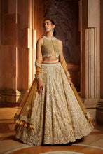 Load image into Gallery viewer, GOLD TULLE LEHENGA CHOLI DUPATTA SET WITH WORKED BELT
