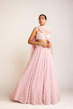 Load image into Gallery viewer, Blouse Lehenga Dupatta
