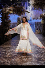 Load image into Gallery viewer, BANI SHARARA SET
