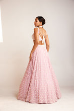 Load image into Gallery viewer, Blouse Lehenga Dupatta
