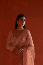 Load image into Gallery viewer, Pastel Orange Net Saree
