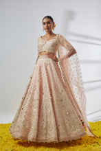 Load image into Gallery viewer, Anaya Lehenga Set

