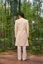 Load image into Gallery viewer, Tejas- The Regal Ivory
