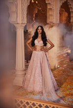 Load image into Gallery viewer, Pink embroidered lehenga
