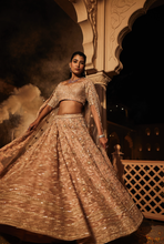 Load image into Gallery viewer, Peach heavily embroidered lehenga
