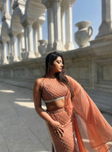 Load image into Gallery viewer, Beige embroidered fishtil lehenga with drape dupatta
