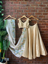 Load image into Gallery viewer, Beige hand painted and hand embroidered lehenga set
