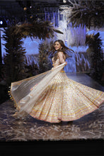 Load image into Gallery viewer, Rakulpreet Lehenga Set
