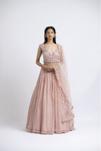Load image into Gallery viewer, SOFT ROSE LEHENGA CHOLI SET
