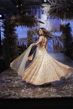 Load image into Gallery viewer, Rakulpreet Lehenga Set
