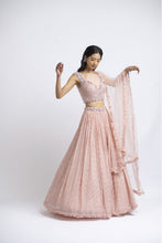 Load image into Gallery viewer, SOFT ROSE LEHENGA CHOLI SET
