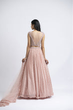Load image into Gallery viewer, SOFT ROSE LEHENGA CHOLI SET
