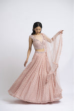Load image into Gallery viewer, SOFT ROSE LEHENGA CHOLI SET
