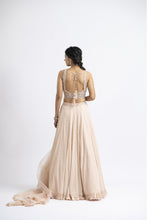 Load image into Gallery viewer, BLUSH PINK LEHENGA CHOLI SET
