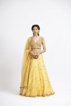 Load image into Gallery viewer, SUNBURST YELLOW ORGANZA LEHENGA SET
