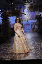 Load image into Gallery viewer, Rakulpreet Lehenga Set
