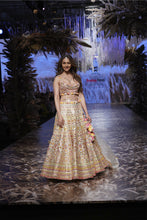 Load image into Gallery viewer, Rakulpreet Lehenga Set
