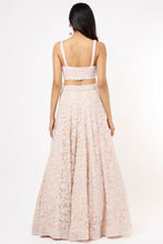 Load image into Gallery viewer, Pink organza self on self embroidered lehenga
