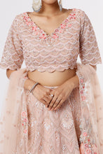 Load image into Gallery viewer, Pink net resham, cutdana, and sequins embroidered lehenga
