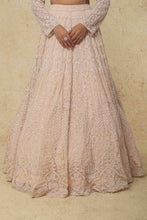 Load image into Gallery viewer, Firoza raw silk embroidered lehenga
