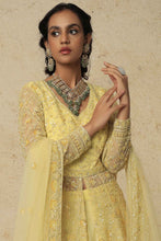 Load image into Gallery viewer, Lemon net self on self embroidered lehenga
