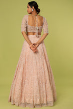Load image into Gallery viewer, Pink net self on slef cut dana, pearl embroidered lehenga
