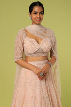 Load image into Gallery viewer, Pink net self on slef cut dana, pearl embroidered lehenga
