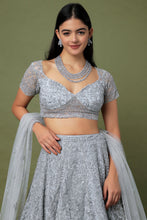 Load image into Gallery viewer, Grey net self on self cut dana embroidered lehenga
