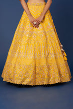 Load image into Gallery viewer, Mustard raw silk sequins and thread embroidered lehenga
