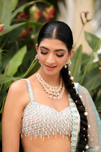 Load image into Gallery viewer, Camellia Lehenga set
