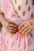 Load image into Gallery viewer, Blush Pink Floral Printed Embroidered Gown
