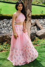 Load image into Gallery viewer, Blush Pink Floral Printed Embroidered Crop-Top &amp; Flared Skirt Set
