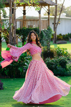 Load image into Gallery viewer, Mauve Printed &amp; Embroidered Lehenga Set
