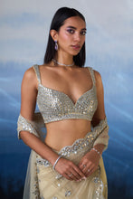 Load image into Gallery viewer, GOLD NET SAREE
