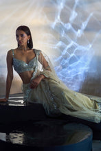 Load image into Gallery viewer, GOLD NET SAREE
