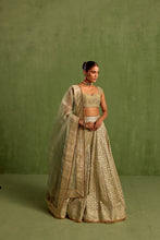 Load image into Gallery viewer, mint green lehenga set
