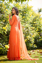 Load image into Gallery viewer, Russet Rose Chiffon Kalidar Set
