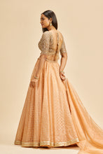 Load image into Gallery viewer, PEACH ORGANZA LEHENGA WITH GOLD CHOLI
