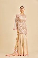 Load image into Gallery viewer, BLUSH PINK BELL SLEEVE GARARA SET
