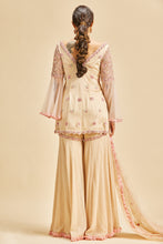 Load image into Gallery viewer, BLUSH PINK BELL SLEEVE GARARA SET
