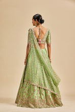 Load image into Gallery viewer, JADE GREEN LEHENGA CHOLI SET
