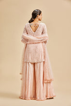 Load image into Gallery viewer, BABY PINK SHARARA SET
