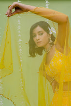 Load image into Gallery viewer, Sunny Yellow Printed Embroidered Lehenga Set
